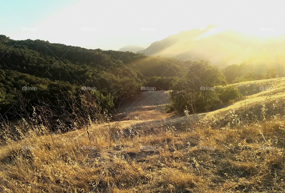 Mountain  side  trail  sunset