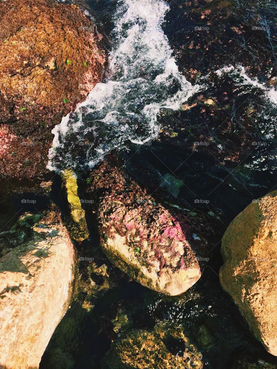 Stones in the sea. 