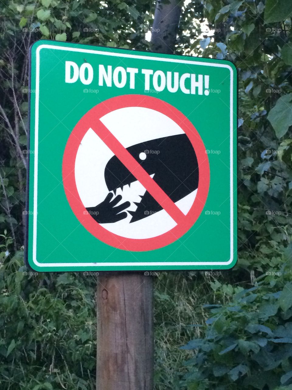 Do not touch. 