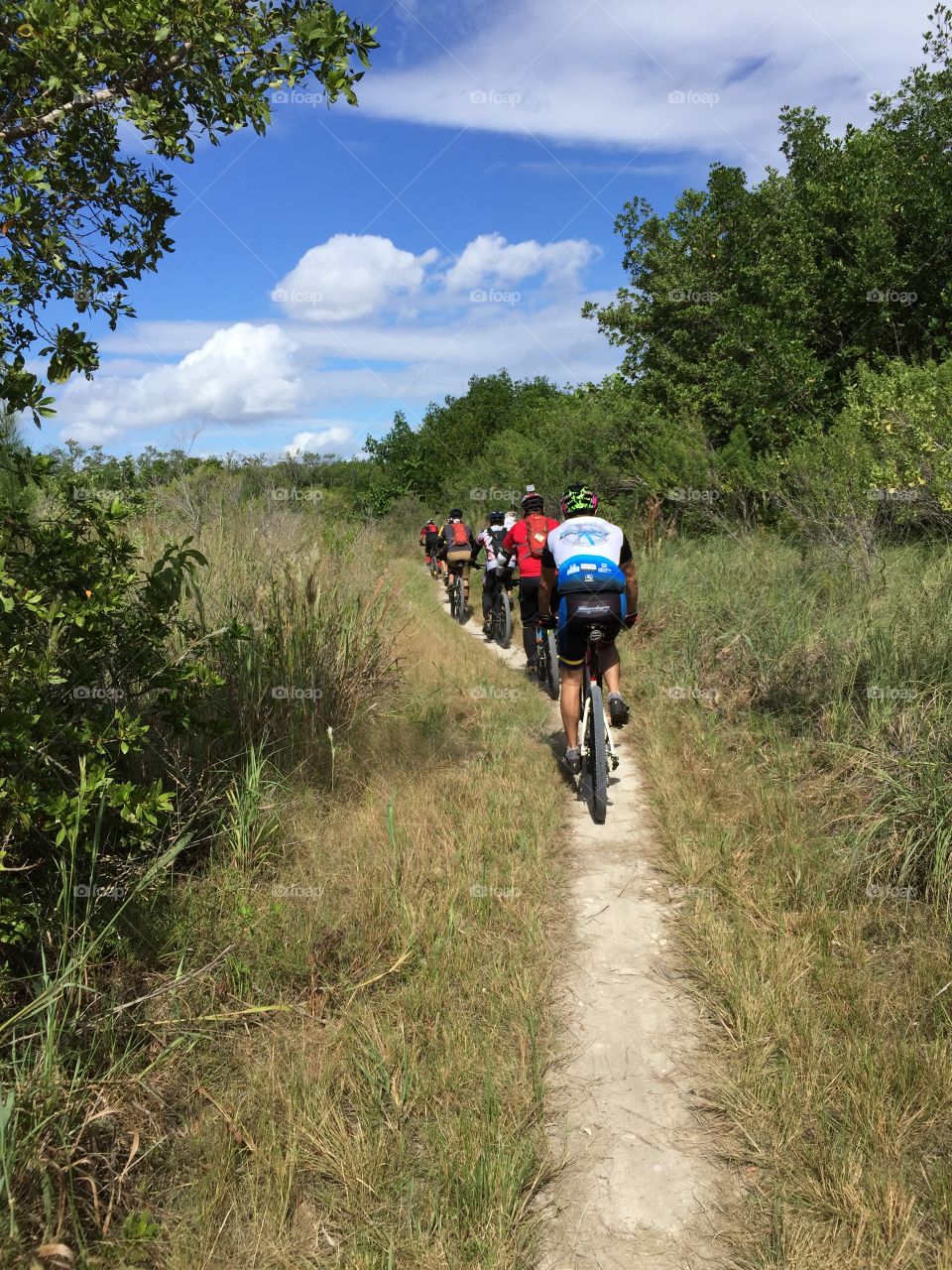 Group of people riding through forest path