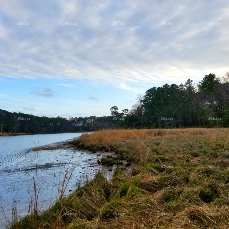 Hidden Swampland River in Eastern Virginia