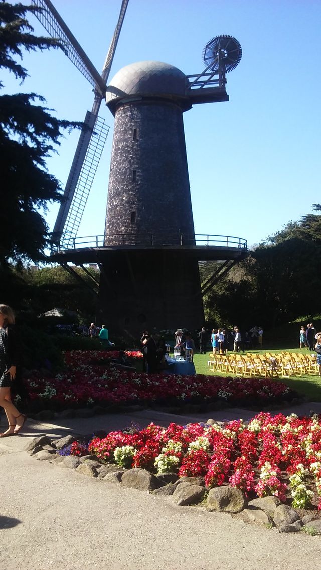 windmill in the park