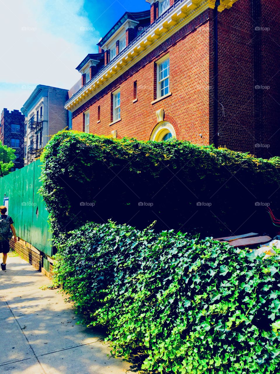 Fort Greene has estates with landscaped gardens, trimmed bushes, trees, lawns, hedges and brownstones built old style with towers, arches, large entrances, stain glass & iron cast doors, balconies, stucco ornaments etc. 2020. Hypnotic Productions 