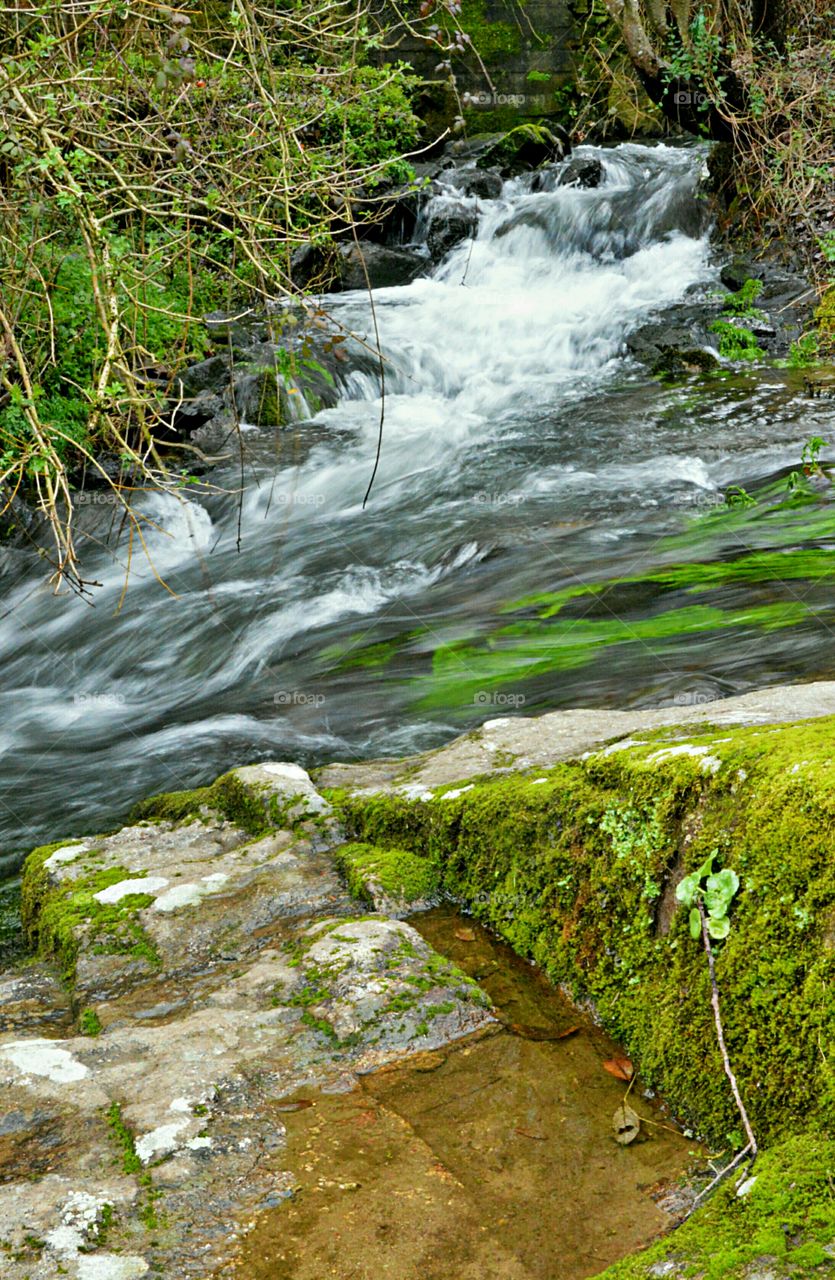 Rapid Water, Río Sarela
