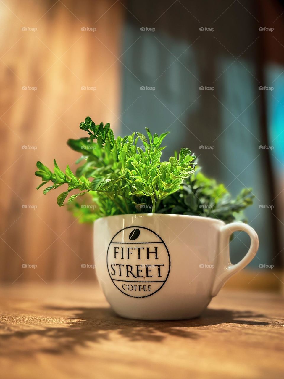 Fifth street coffee. A mug plant pot