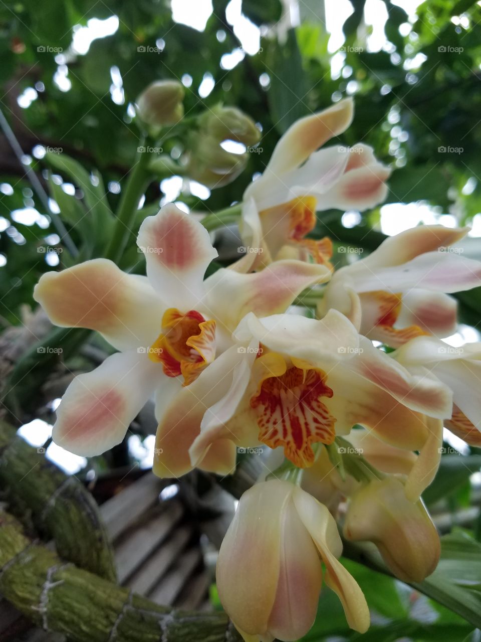 Miraculously beautiful