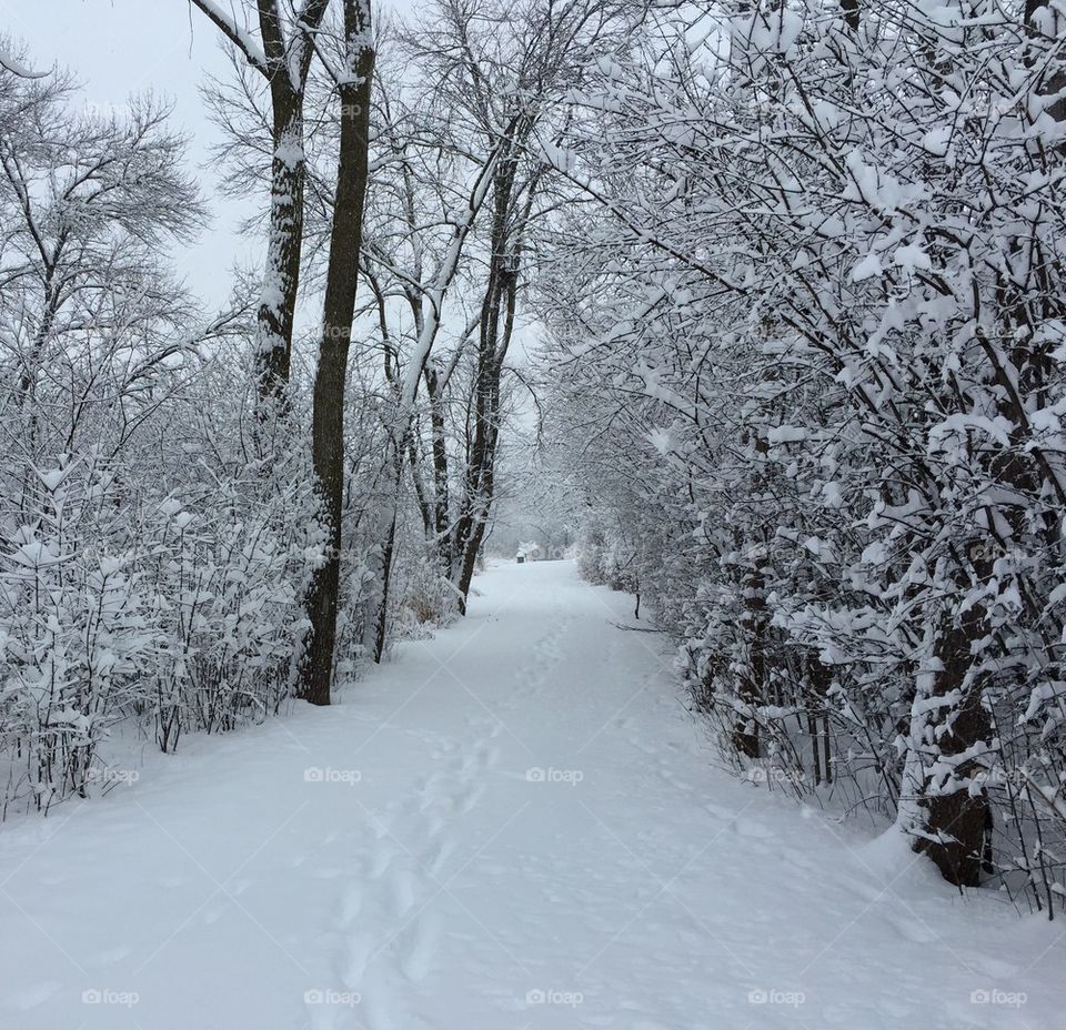 Walk during winter storm. 