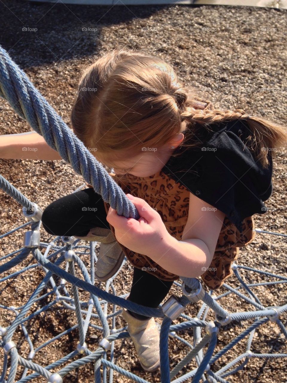 Reaching for the top