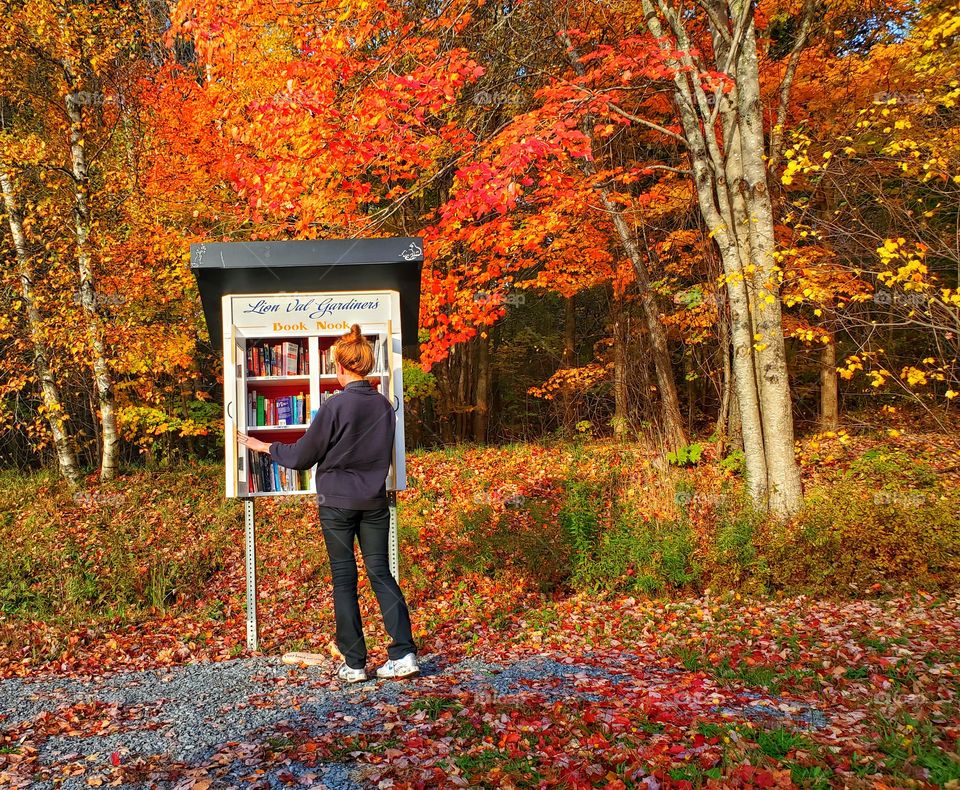 Urban vs. rural:
Country library