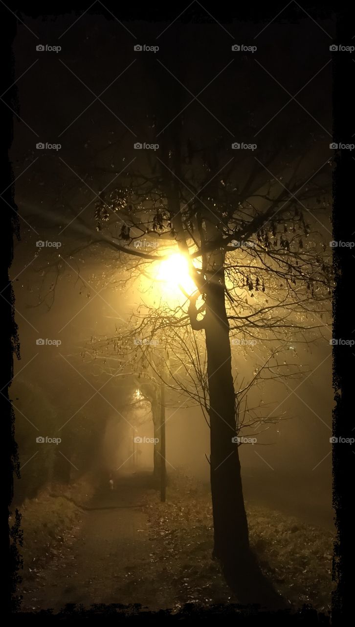 Foggy mysterious walkway through the Night 