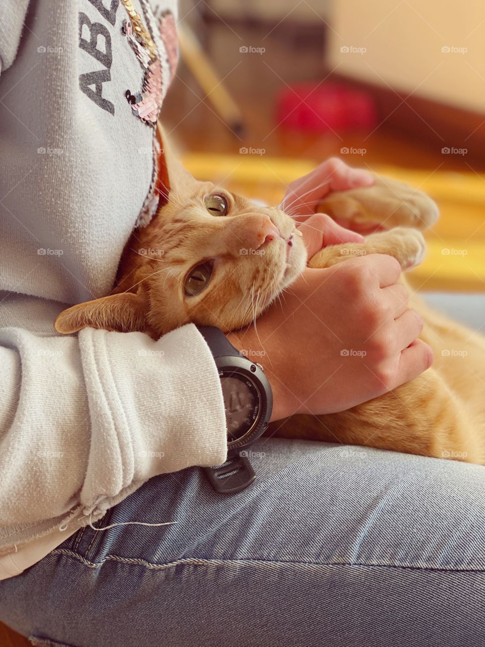 Girl and a cat