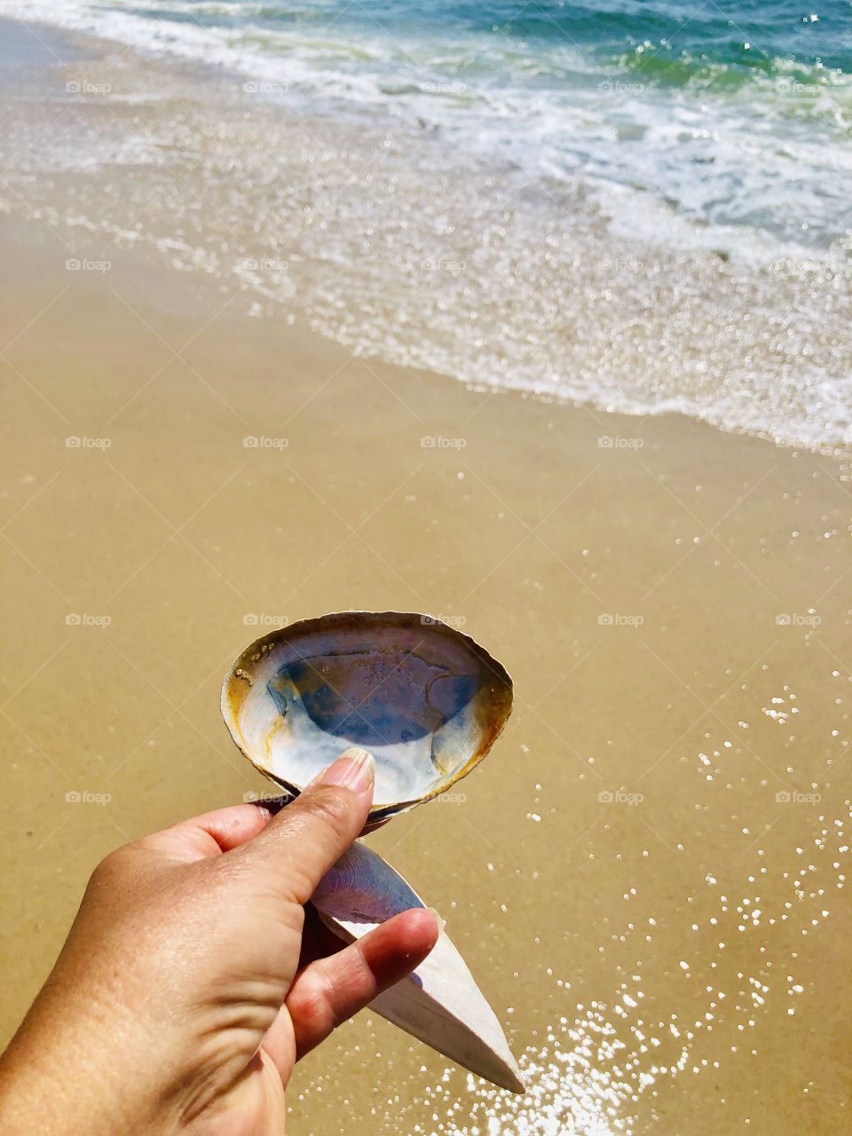 Collecting seashells at the beach