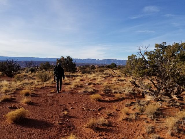 Canyon Wall in Escalante