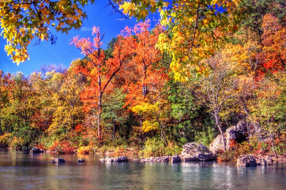 fall on the river