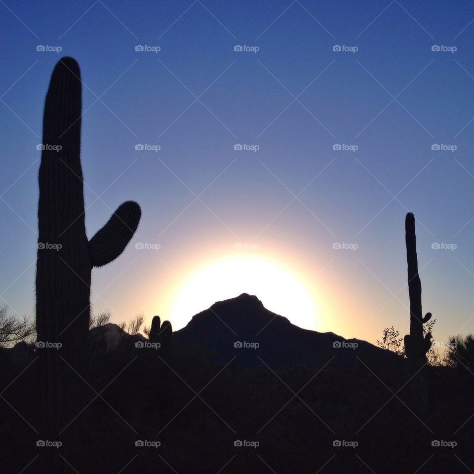 Sunrise in the desert