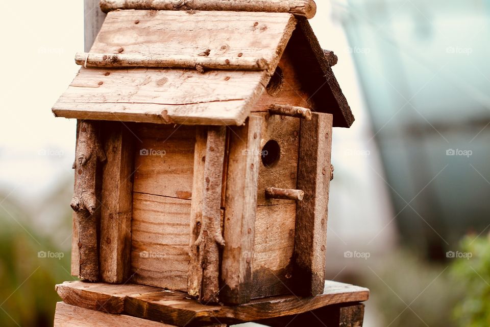 Bird 🦅 house 🏡 