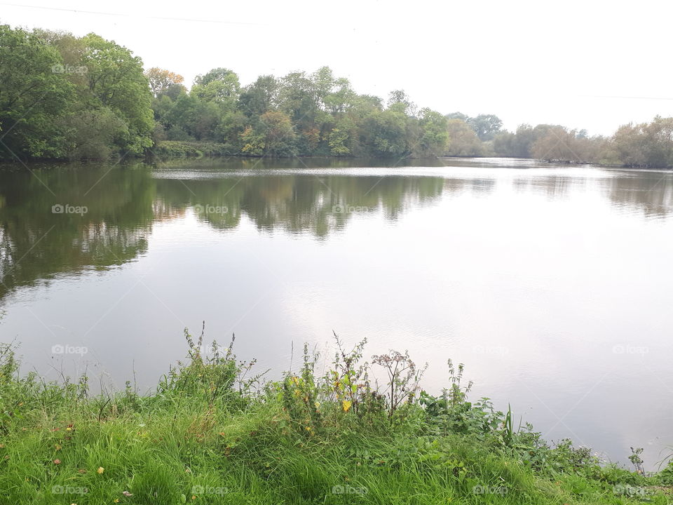 Lakeland Reflections