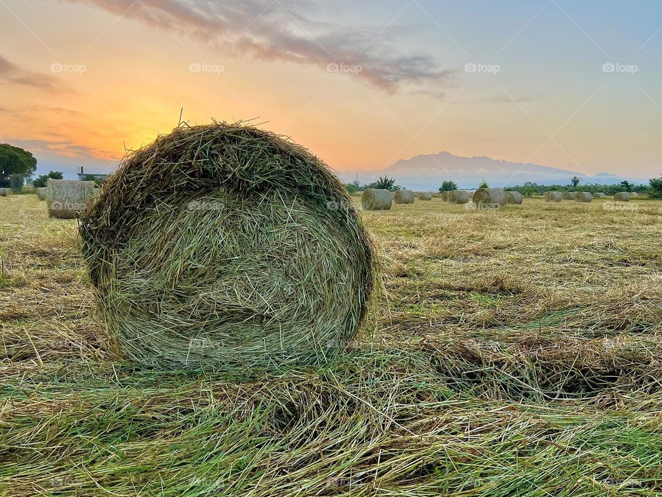 Country side