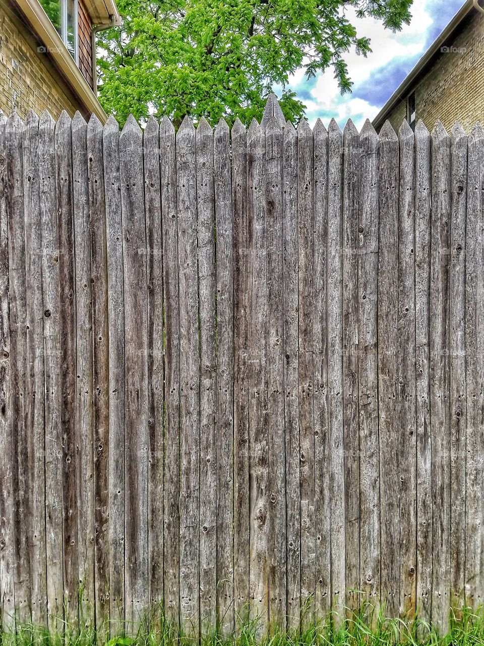 Fence