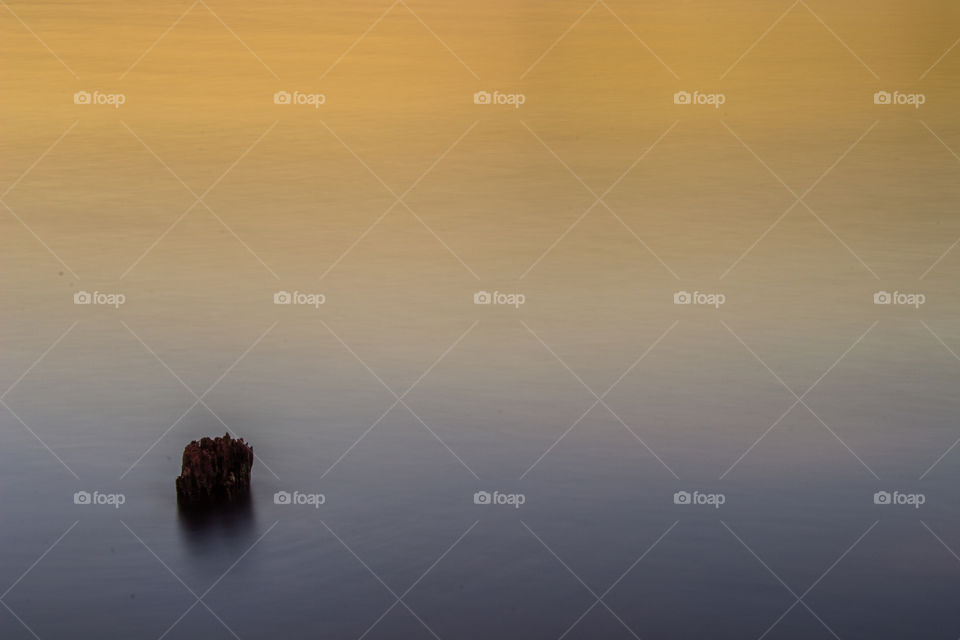 piece of wood sticking of of the water at sunset time