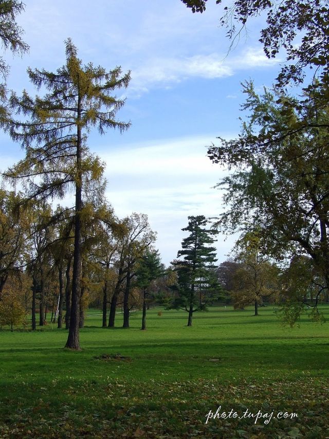 park