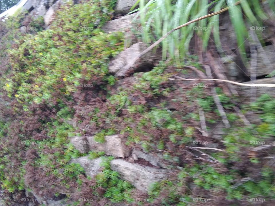 Blurry Rock Wall