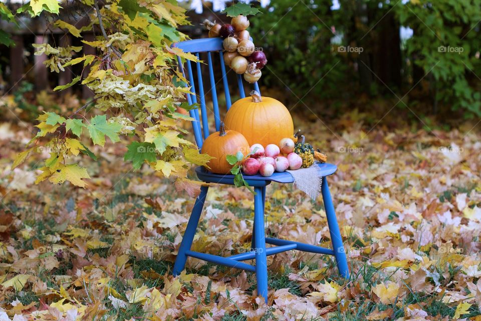 Autumn, pumpkins time