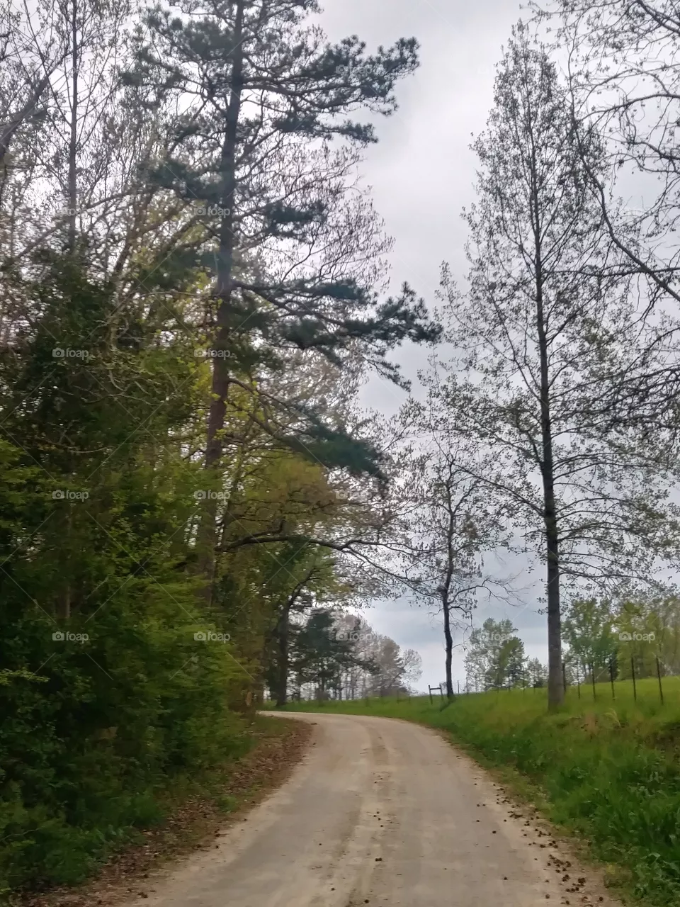 dirt rd.