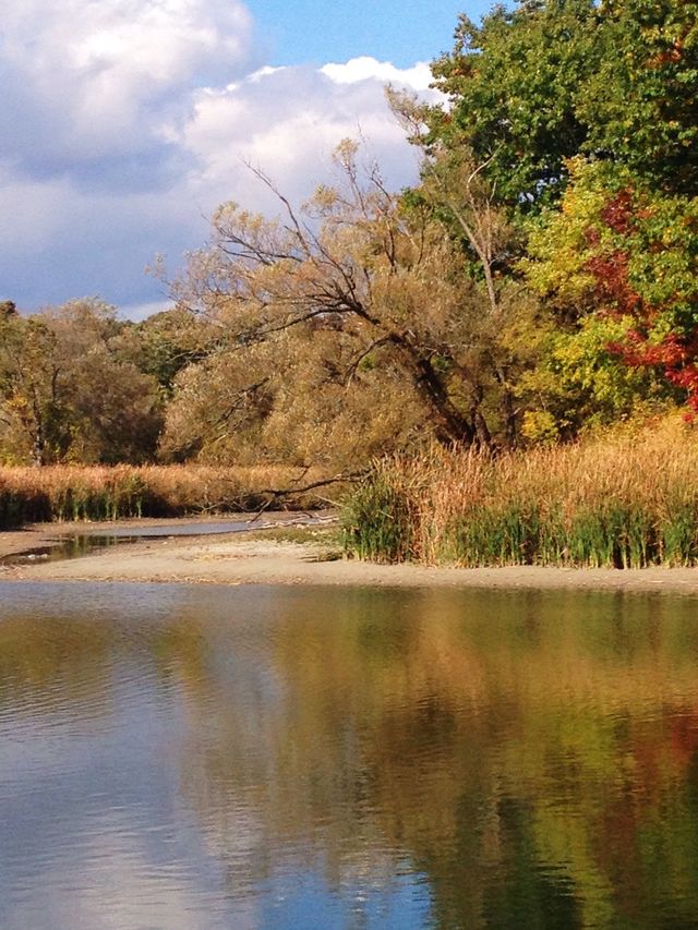 Autumn Landscape