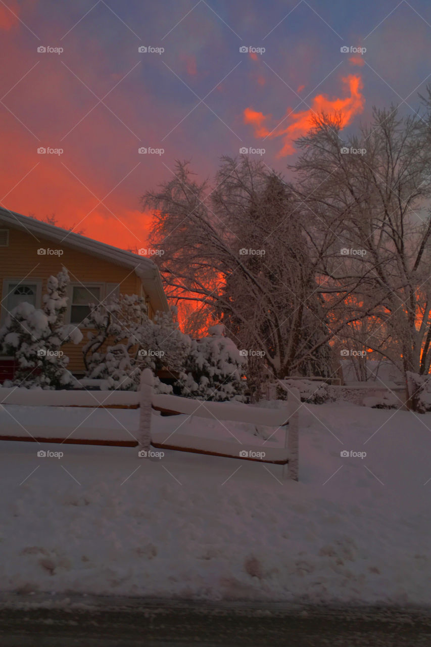 Sunset glow illuminates the freshly fallen snow covering the trees and ground in this winter wonderland scene in a New England suburban neighborhood. 