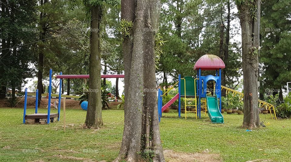 Colorful children's playground surrounded by trees and grass
