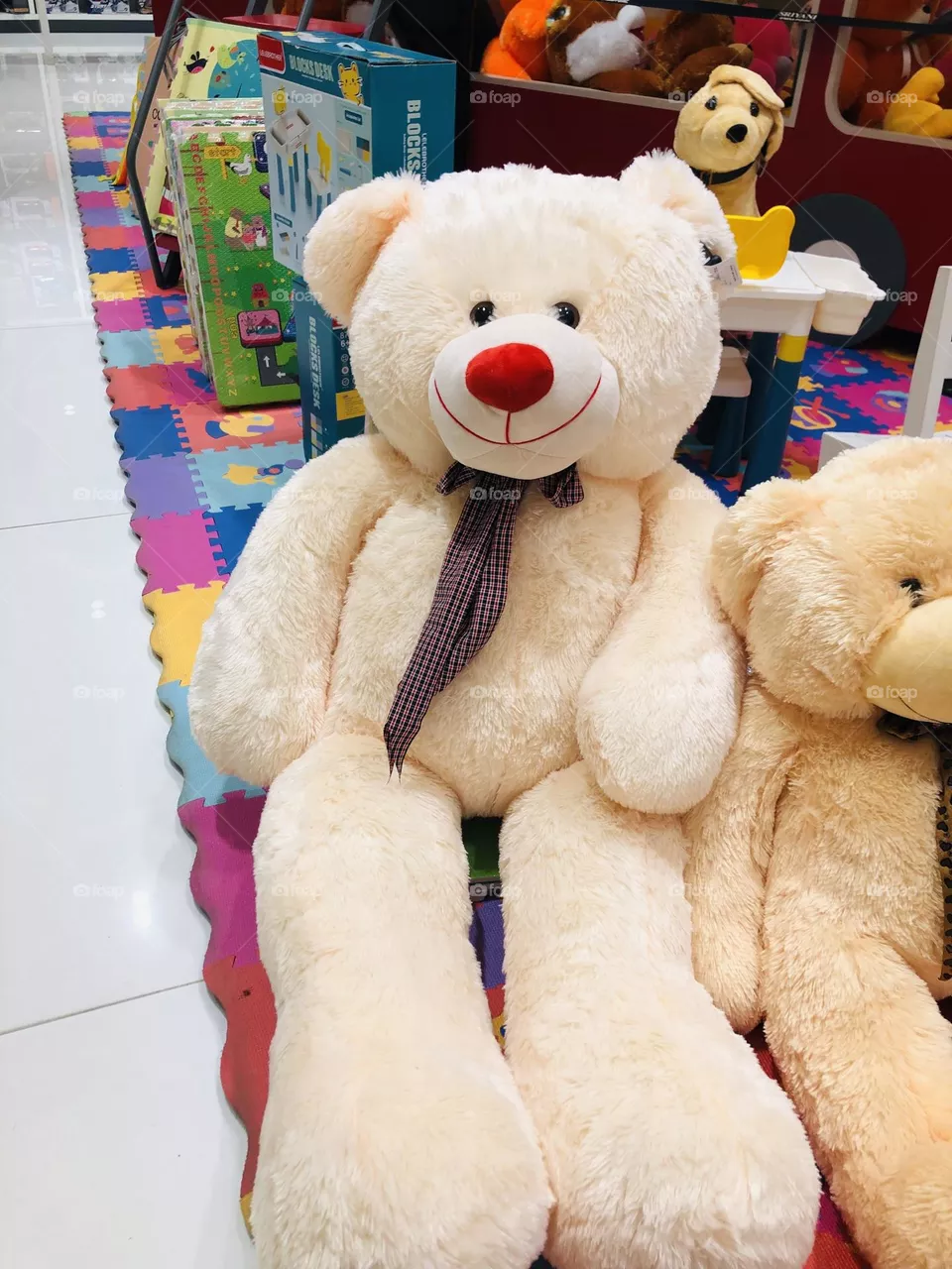 Teddy lovers😇