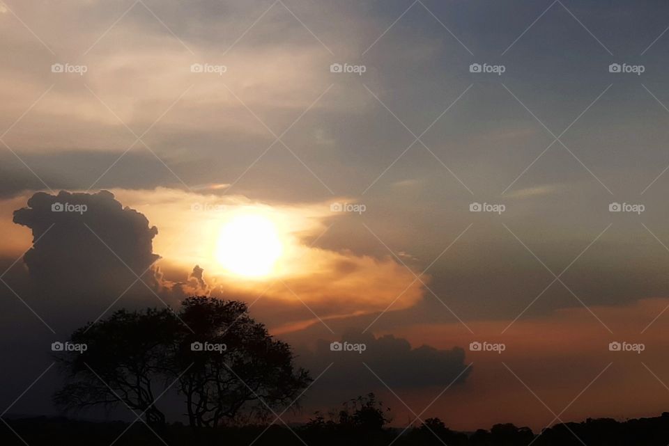 sunset in the field,Sunset,field,countryside,clouds,cloudy,sky,tree,sun,nature,landscape