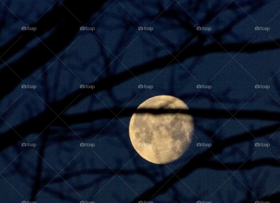 There’s a moon out tonight...