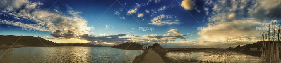 Ricefield from Valencia