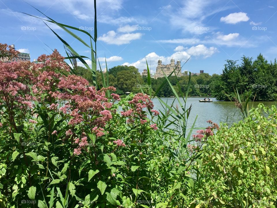 New York, central park