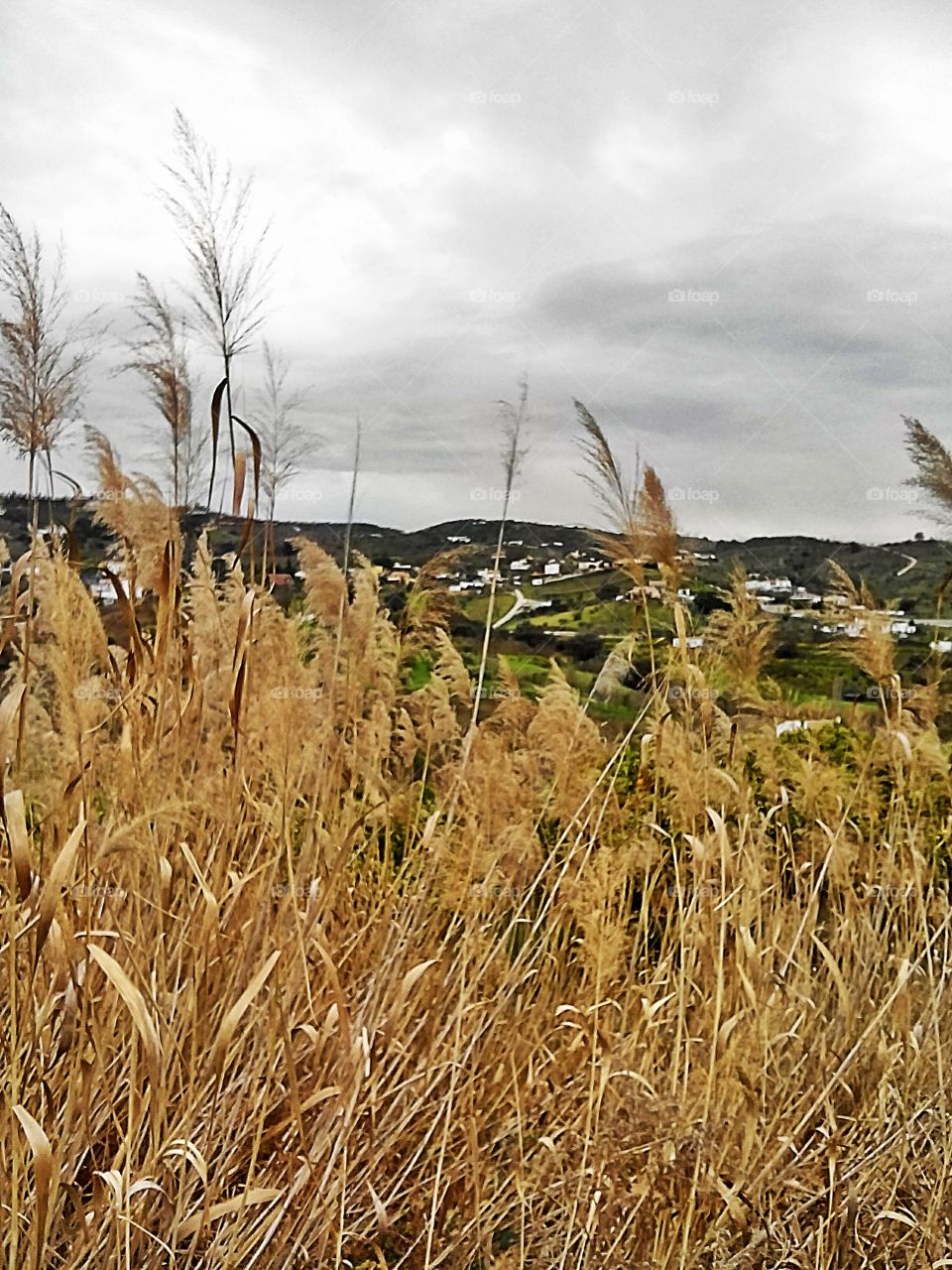 Images of Andalucia