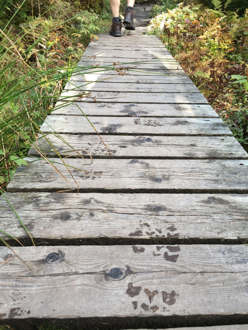 Footprints on the boardwalk