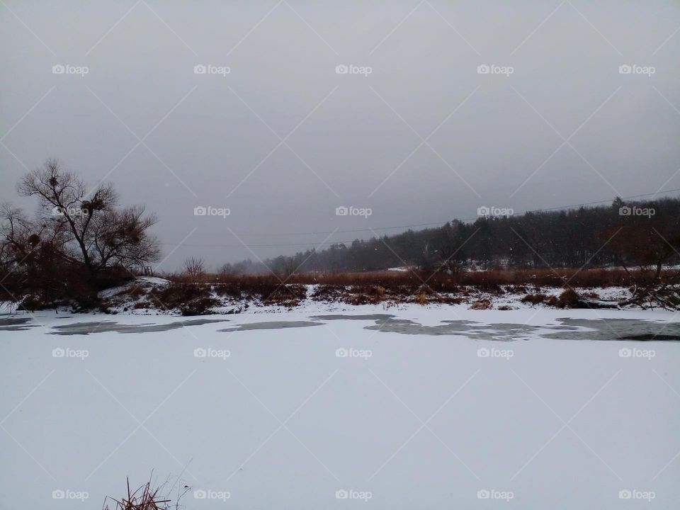 Battle: Winter vs. Spring