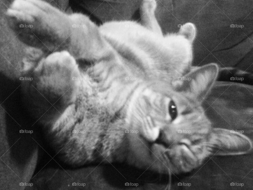 Grateful it is Friday!