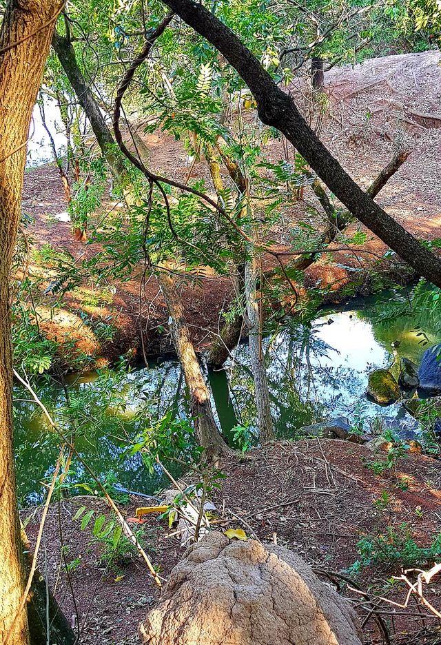 parque Eloy Chaves