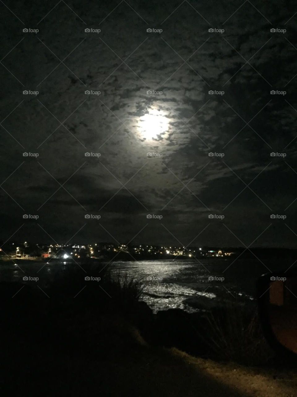 Playa a la luz de la luna