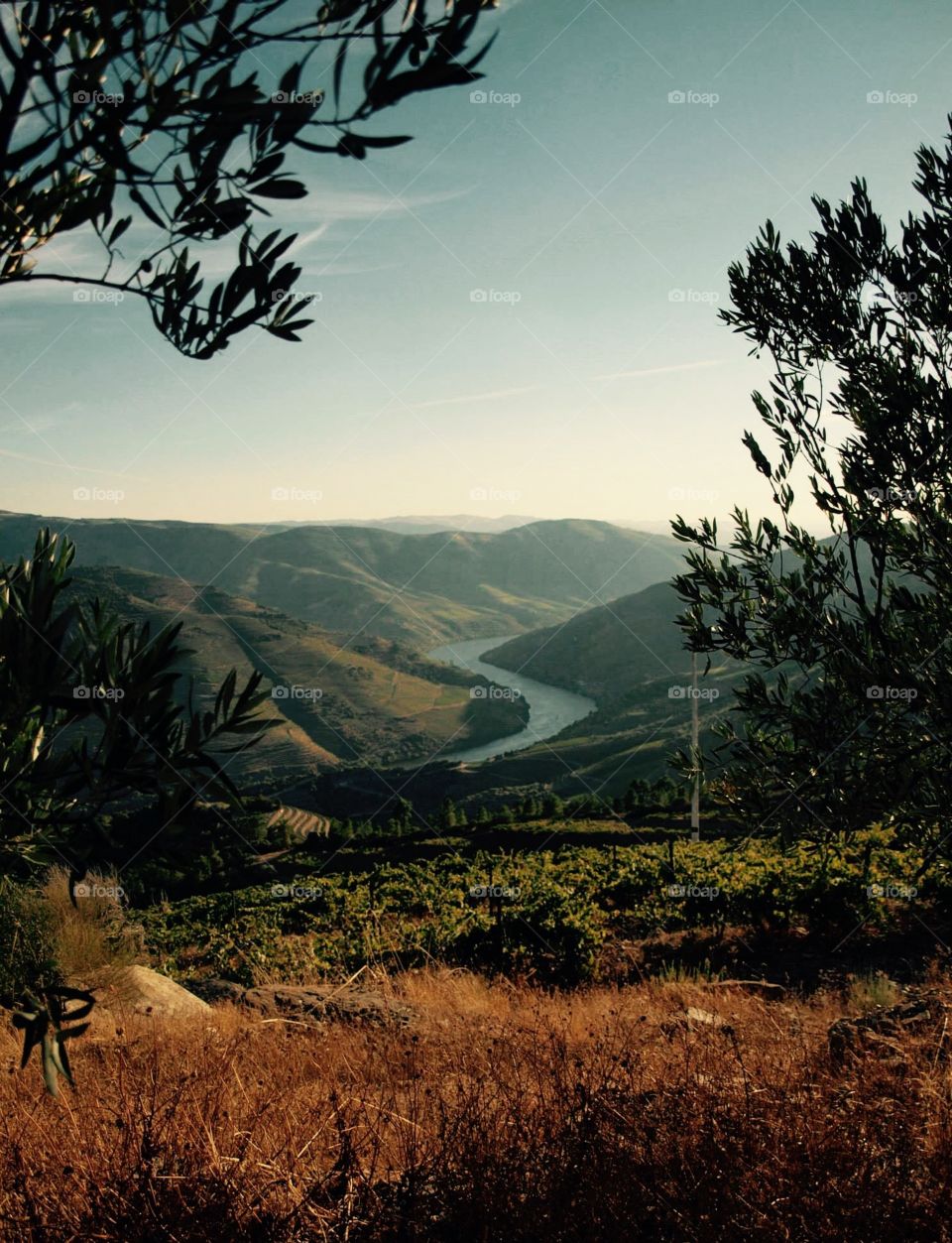 Douro