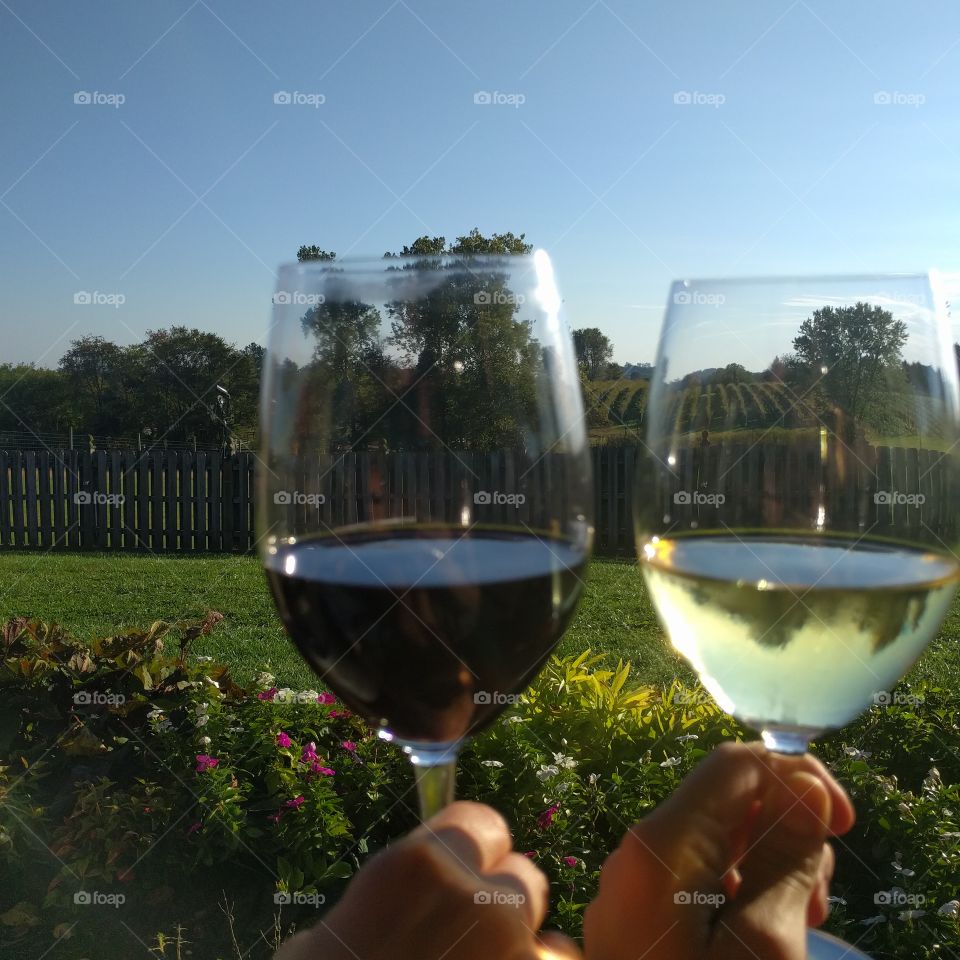 Wine in the afternoon