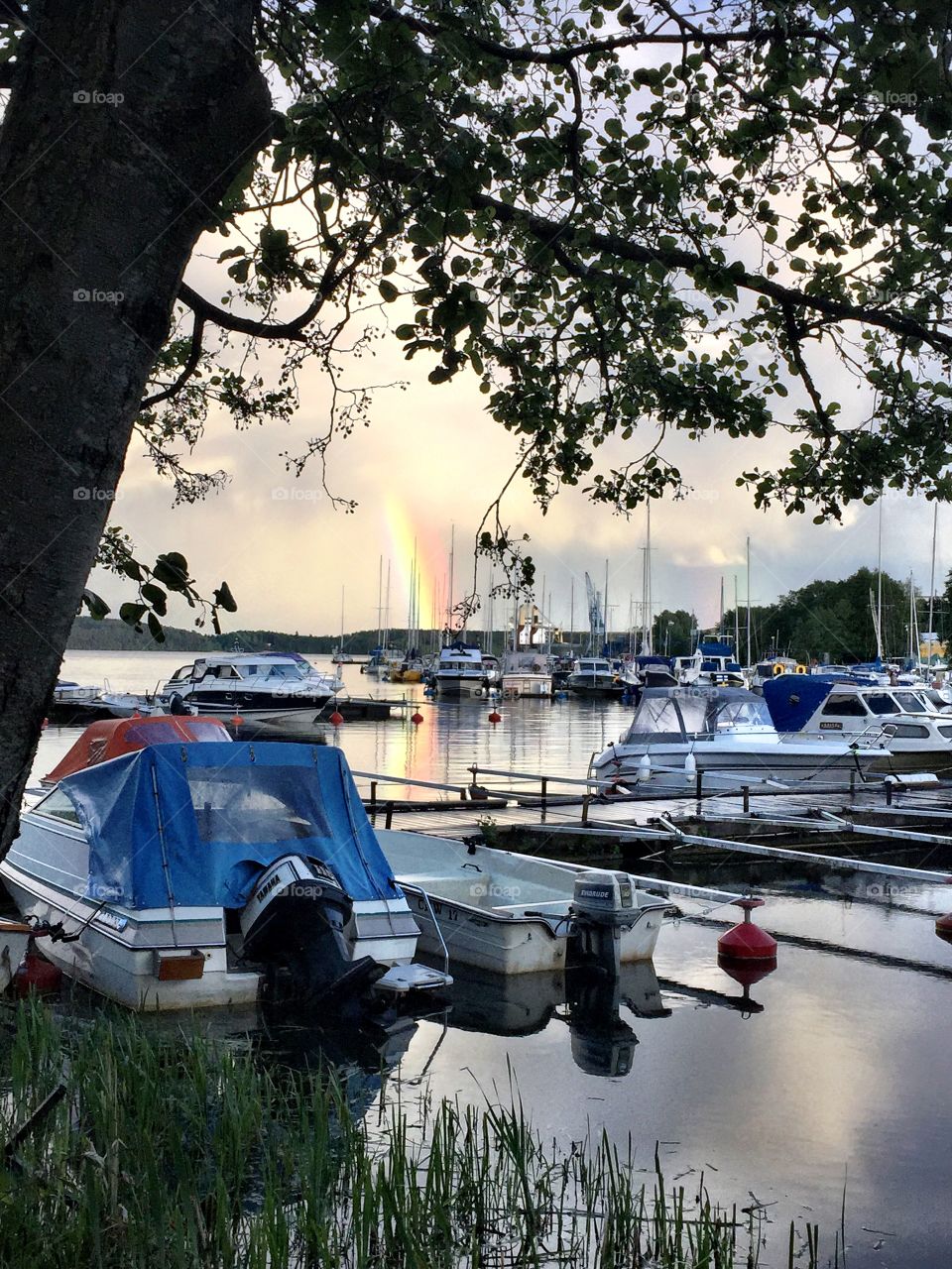 Boats and the nature 