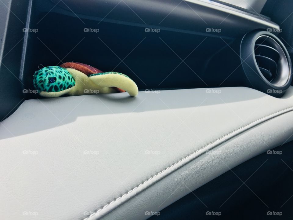 2018 Toyota RAV4 with a sea turtle 