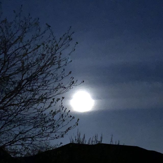 The Moon Shining Brightly, In The Summer Night Sky