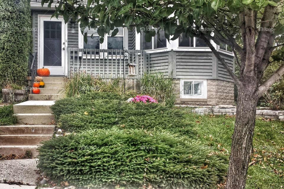 Architecture. Pumpkins on the Steps