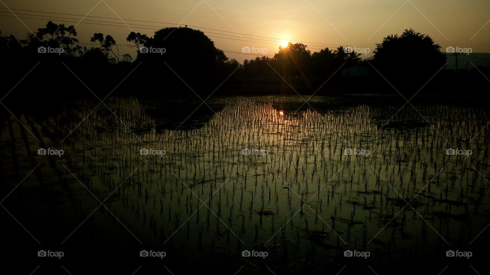 the most beautiful evening time