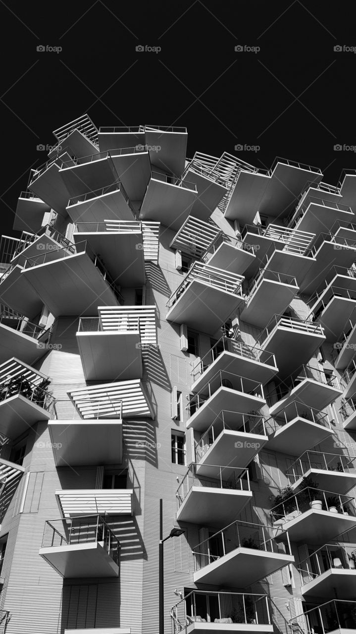 Montpellier  der weiße Baum